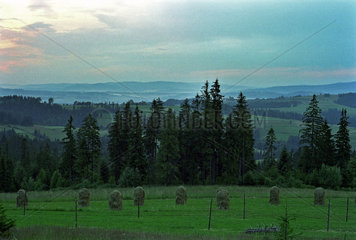 Felderlandschaft in der Region Podhale  Polen