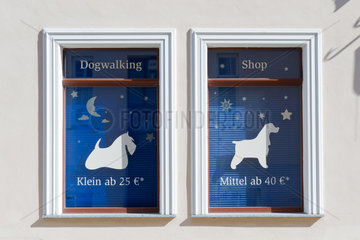 Altlandsberg  Deutschland  Hundesalon bietet Dogwalking an
