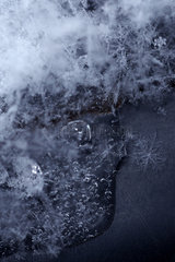 Berlin  Deutschland  Eiskristalle von frisch gefallenen Schneeflocken
