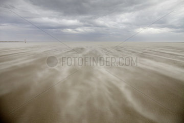 St. Peter-Ording  Deutschland  Leerer Strand und durch starken Wind aufgewirbelter Sand in St. Peter-Ording