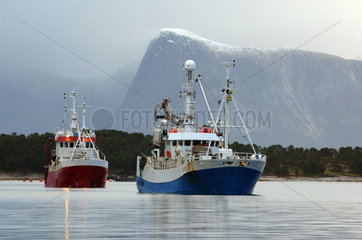 Fischerboote auf dem Tysfjord (Norwegen)