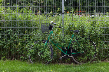 Berlin  Deutschland  Fahrrad wird von Pflanzen ueberwachsen