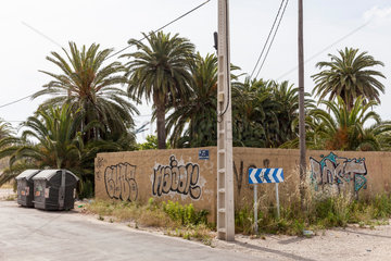 Valencia  Spanien  Palmen hinter einer Mauer am Stadtrand