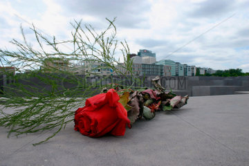 Berlin - eine Rote Rose ueber eine Stele des Holocaust Mahnmal