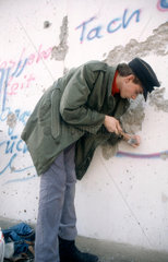 Berliner Mauer Specht