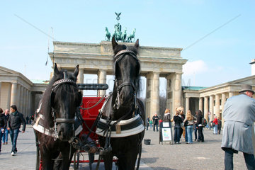 Pferdekutsche vor dem Brandenburger Tor.