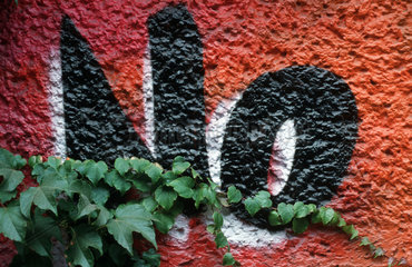 Kletterpflanz auf Graffiti