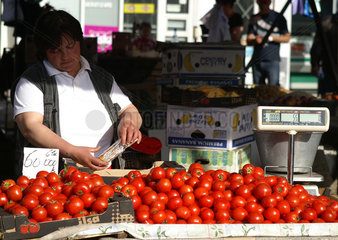 Hermannstadt  Rumaenien  Tomatenverkauf auf einem Flohmarkt