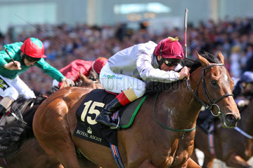 Royal Ascot  The Wow Signal with Frankie Dettori up wins the Coventry Stakes
