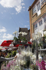 Blumenmarkt an der Columbia Road in London