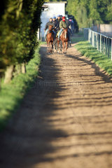 Iffezheim  Reiter und Pferde beim Ausritt am Morgen