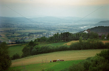 Felderlandschaft im Dunajec-Tal  Suedpolen