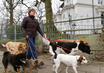 Hamburg  eine Frau geht mit Hunden Gassi