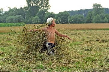 Bauernjunge spielt im Heu  Polen