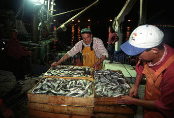 Fischer beim Ausladen im gallizischen La Coruna