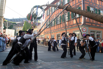 Bamberg  Festbaumaufstellen auf der Sandkerwa
