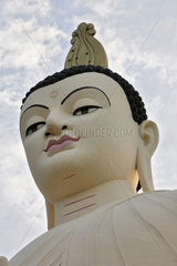 Sigiriya  Sri Lanka  Buddhakopf einer Statue