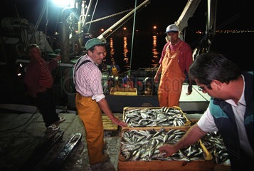 Fischer beim Ausladen im gallizischen La Coruna