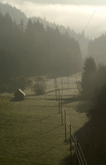 Herbststimmung im Schwarzwald