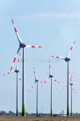 Windenergie in Dithmarschen
