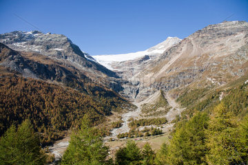 Alp Gruem  Schweiz  Blick auf den Gletscher am Piz Palue