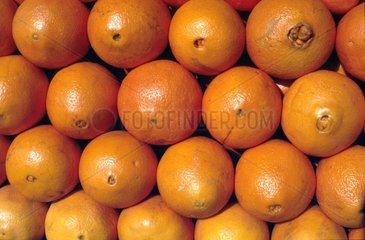 Aufgehaeufte Orangen