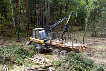 Forstwirtschaftsmaschine im Einsatz