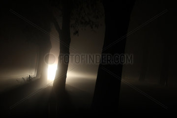 Grossziethen  Deutschland  Autoverkehr auf einer Landstrasse bei Nacht und Nebel