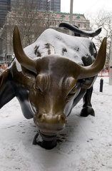 The Charging Bull in New York