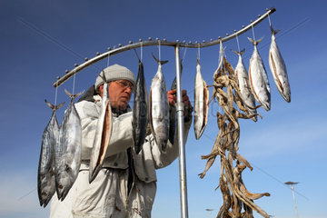 Nessebar  Fischer haengt Fische zum Trocknen auf