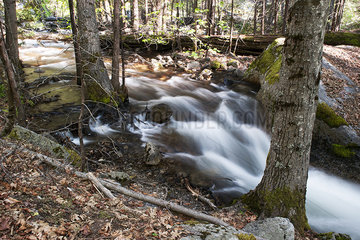 Stream flowing over rocks in forest