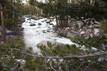 Stream flowing over rocks  Yosemite National Park  California  USA