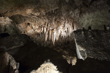 Stalactites hang from the ceiling of a cave in Carlsbad Caverns National Park  New Mexico  USA