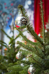 Ornaments hanging on christmas tree