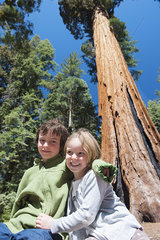 Young siblings sitting together under a giant sequoia tree