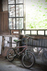 Old bicycle stored in shed