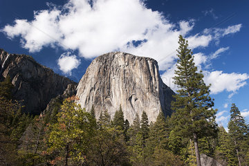 El Capitan  Yosemite National Park  California  USA