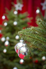 Ornaments hanging on christmas tree