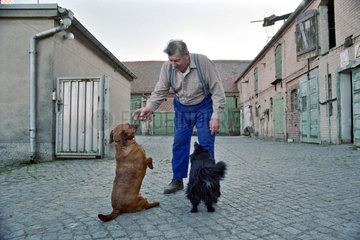 Ein Bauer spielt mit seinen beiden Hunden  Neuruppin