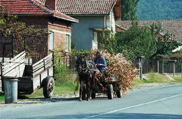 Alte Frau faehrt mit einer Pferdekutsche durch das Dorf  Bulgarien