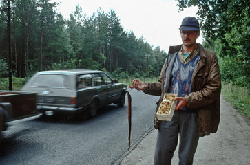Mann verkauft Pfifferlinge und Aale bei Kostrzyn  Polen