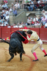 Sevilla  Spanien  Alberto Lamelas waehrend eines Stierkampfes