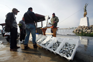Nessebar  Fischverkauf am Hafen