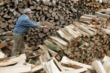 Prangendorf  ein Mann stapelt Holzscheite aufeinander