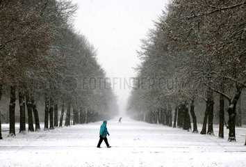 Dresden  Deutschland  Passanten laufen durch den verschneiten Volkspark Grosser Garten
