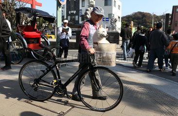 Kamakura  Japan  Mann schiebt sein Fahrrad ueber die Strasse