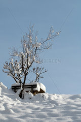 Afritz am See  Oesterreich  Schneelandschaft mit zugeschneiter Sitzbank im Gegendtal