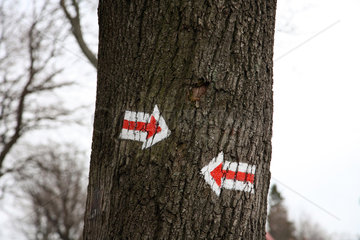Schreiberhau  Polen  Markierungen an einem Baumstamm