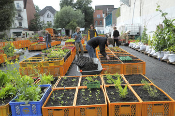 Urbanes Gartenprojekt: Gartendeck auf St. Pauli