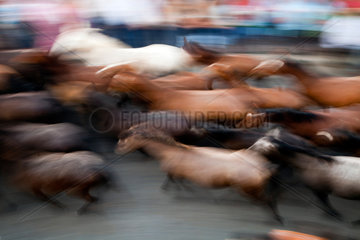 Almonte  Spanien  Saca de las yeguas - Pferde werden durch die Stadt getrieben